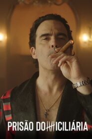Prisão Domiciliária: Temporada 1