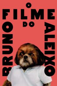 O Filme do Bruno Aleixo