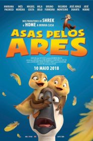 Asas Pelos Ares