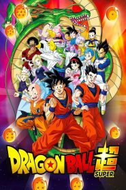 Dragon Ball Super: Temporada 1