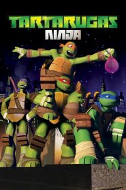 As Tartarugas Ninjas: Temporada 3