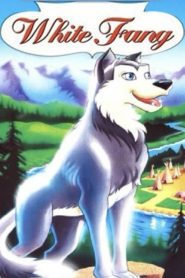 O Pequeno lobo Branco