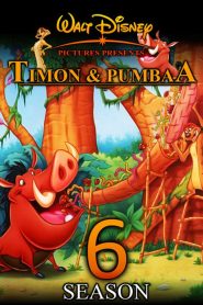 Timon e Pumba: Temporada 6